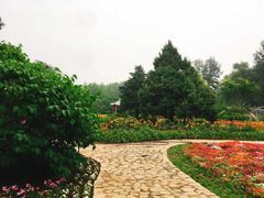 -秦皇岛野生动物园