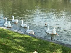 -杭州师范大学(下沙校区)