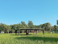 -洪湖家庭农场·团建·露营·会议