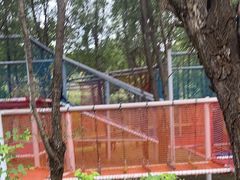 -西部长青自然儿童乐园