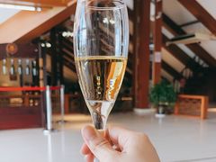 -张裕卡斯特酒庄