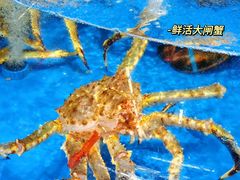 -盒马鲜生(富田新天地店)