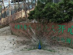 -燕塞湖鸟语林景区