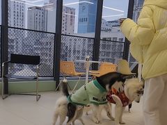 -怪兽屋·羊驼·猫咖·狗咖(俊华广场店)