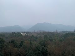 -青城道汤池