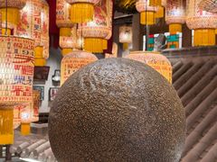 -杨记隆府(重庆总店)