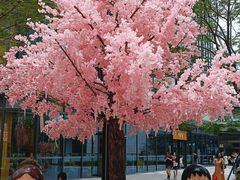 -东莞松山湖万象汇