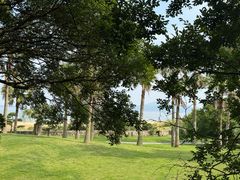 -普陀山风景名胜区-千步大沙