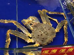 -东风市场(民治路店)