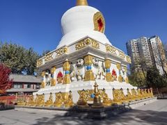 -护国法轮寺