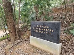 -马王堆汉墓遗址
