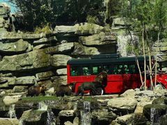 -北京野生动物园