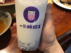 -一只酸奶牛(八一路店)