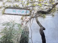 -留园