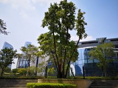 -前海深港基金小镇