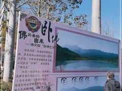 -田野绿世界