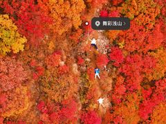 -大岭沟猕猴桃谷风景区