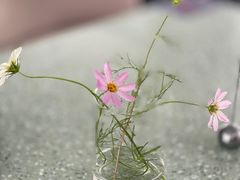 -简象咖啡CAFE ELE JANE(满陇桂雨店)