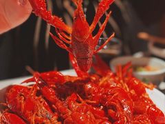 -京韵胡同·酱香羊蝎子火锅涮肉(长寿路店)