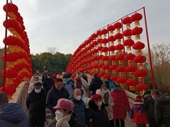 -水绘园
