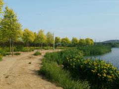 -永定河休闲森林公园