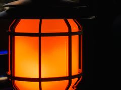 -春花秋色城市公园