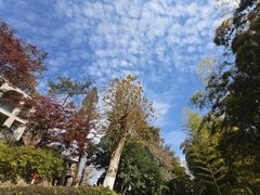 -莫干山风景区