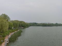 -大兴滨河森林公园