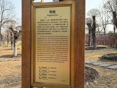-西海子公园