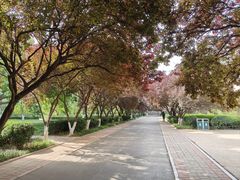 -山东师范大学(千佛山校区)