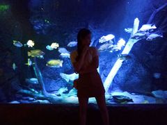 -暹罗海洋世界