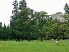 -贵州省植物园