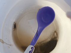 -南汇新城海滩