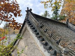 -崂山巨峰游览区
