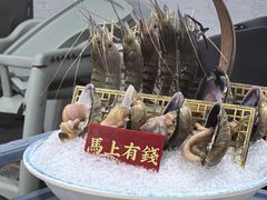 -喜聚薈·花膠雞海鮮火鍋(越秀店)