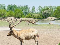 -溱湖国家湿地公园