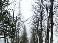 -洋湖国家湿地公园