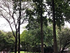 -晓港公园