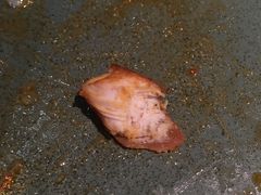 -薇酌饮·陕西菜(南门外店)