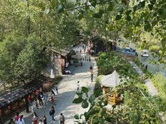 -合肥滨湖国家森林公园