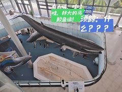 -中国（海南）南海博物馆