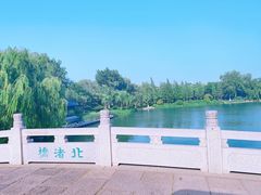 -济南大明湖景区