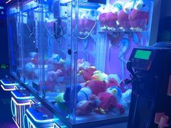 -唱吧麦颂KTV(马驹桥店)