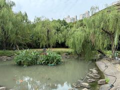 -苏州河梦清园环保主题公园