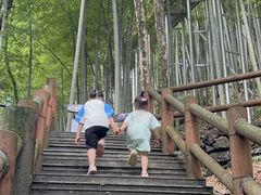 -藏龙百瀑风景区