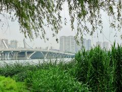 -蠡湖大桥公园