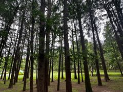 -同里国家湿地公园