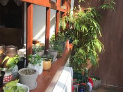 -铃木食堂(帽儿胡同店)