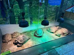 -上海大自然野生昆虫馆(东方明珠·爬宠昆虫探索中心)