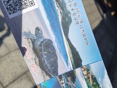 -广东惠东海龟国家级自然保护区
